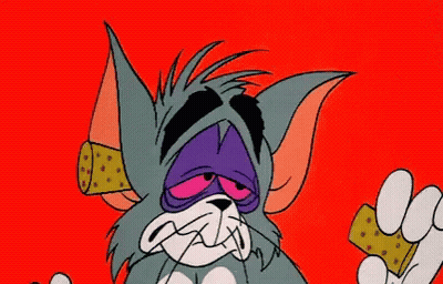 Cartoon Cat Holding Cheese GIF