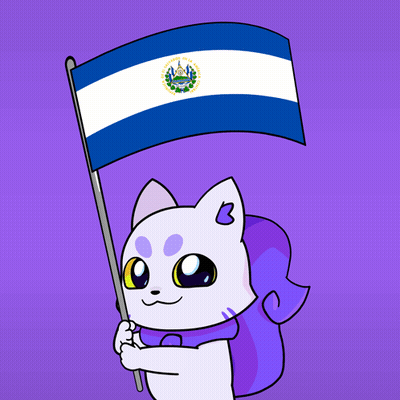 Cartoon Cat Holding El Salvador Flag GIF