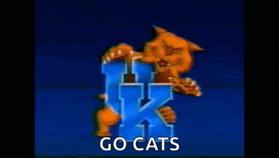 Cartoon Cat Holding Letter K Saying Go Cats GIF