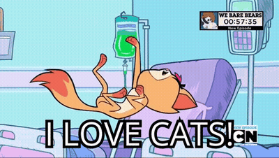 Cartoon Cat In Hospital Bed Saying I Love Cats GIF