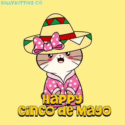 Cartoon Cat in Sombrero and Pink Jacket Says Happy Cinco De Mayo