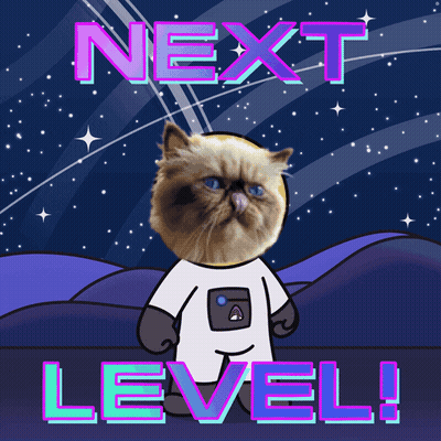 Cartoon Cat In Space Suit Saying Next Level GIF
