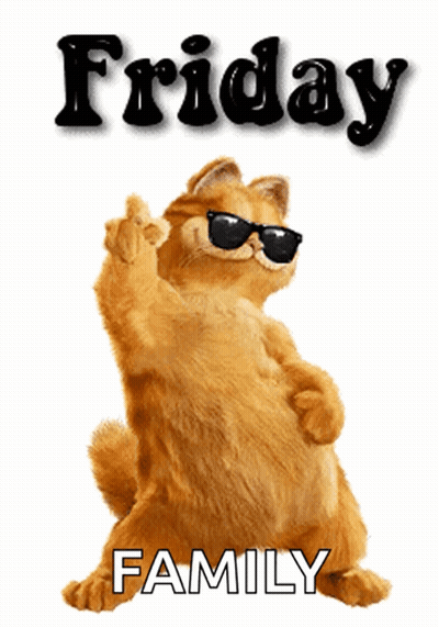 Cartoon Cat In Sunglasses Giving Middle Finger Saying Friday Family GIF