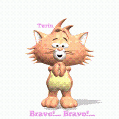 Cartoon Cat Jumping Saying Bravo GIF