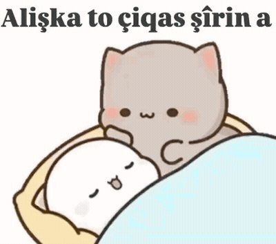 Cartoon Cat Laying On Another Cat Aliska To Ciqas Sirin GIF