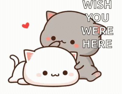 Cartoon Cat Laying On Another Cat Saying Wish You Were Here GIF