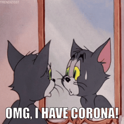 Cartoon Cat Looking In Mirror Says OMG I Have Corona GIF