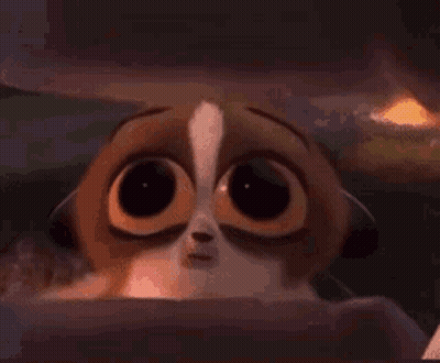 Cartoon Cat Looking Out Window GIF