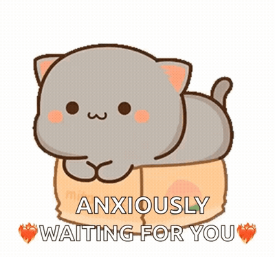 Cartoon Cat Lying On Cardboard Box Anxiously Waiting For You GIF