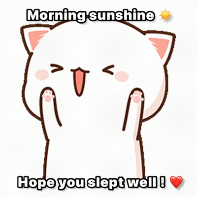 Cartoon Cat Morning Sunshine Hope You Slept Well GIF