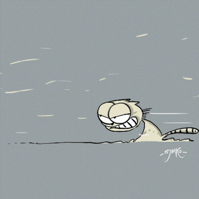 Cartoon Cat Named Maya GIF