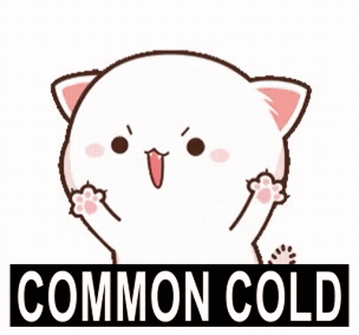 Cartoon Cat Paws In Air Saying Common Cold GIF