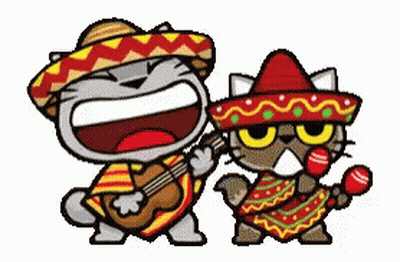 Cartoon Cat Playing Guitar With Maracas Cat GIF