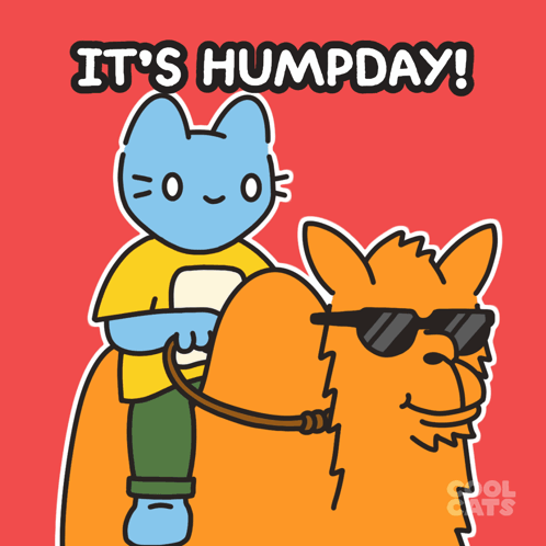 Cartoon Cat Riding Camel With Words It's Humpday GIF