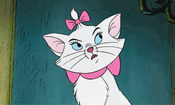 Cartoon Cat Rolling Eyes GIF