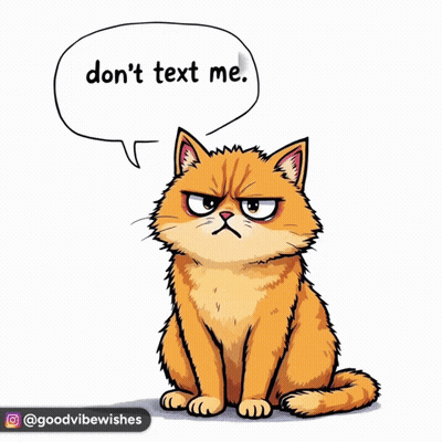 Cartoon Cat Saying Don't Text Me GIF