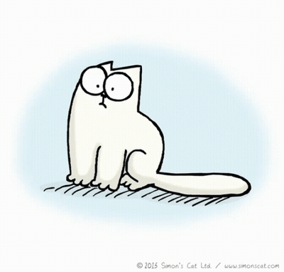 Cartoon Cat Saying Every Day Should Be International Cat Day GIF