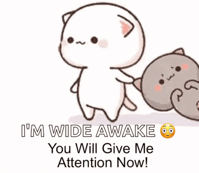Cartoon Cat Saying I'm Wide Awake GIF