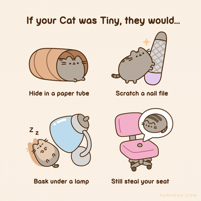 Cartoon Cat Saying If Tiny GIF