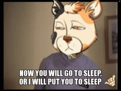 Cartoon Cat Saying Now You Will Go To Sleep GIF