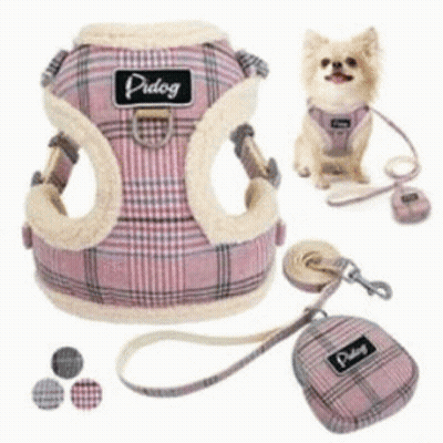 Cartoon Cat Saying Please Don't Leash Me GIF