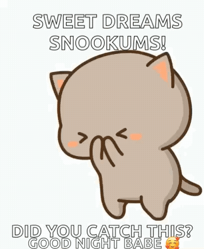 Cartoon Cat Saying Sweet Dreams Snookums GIF