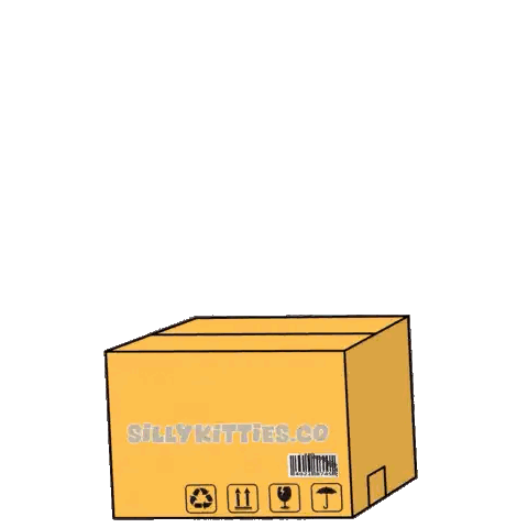 Cartoon Cat Sitting In Box With Subscribe Sticker