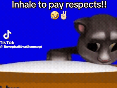 Cartoon Cat Sitting Inhale To Pay Respects GIF