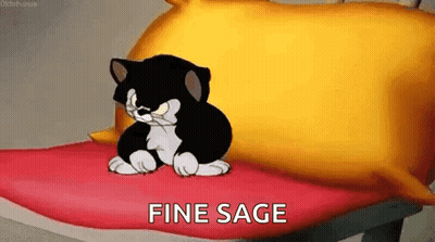 Cartoon Cat Sitting On Pillow Saying Fine Sage GIF