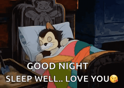 Cartoon Cat Sleeping Good Night Sleep Well Love You GIF