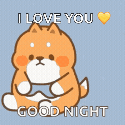 Cartoon Cat Sleeping I Love You Good Night GIF