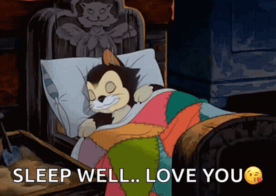 Cartoon Cat Sleeping In Bed Sleep Well Love You GIF