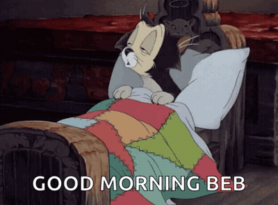 Cartoon Cat Sleeping With Good Morning Beb GIF