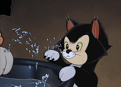 Cartoon Cat Standing In Bucket With Water GIF