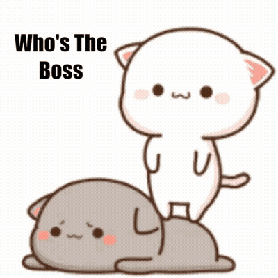 Cartoon Cat Standing On Another Cat Saying Who's The Boss GIF