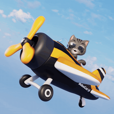 Cartoon Cat Sunglasses Flying Plane Babacat GIF
