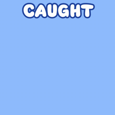 Cartoon Cat Taking Photo GIF