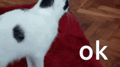 Cartoon Cat Thumbs Up Jacob Approves GIF
