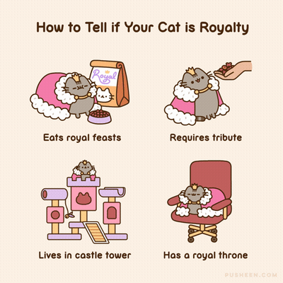 Cartoon Cat Wearing Crown GIF