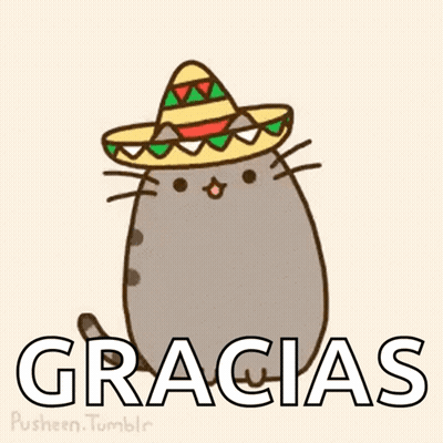 Cartoon Cat Wearing Sombrero Gracias GIF
