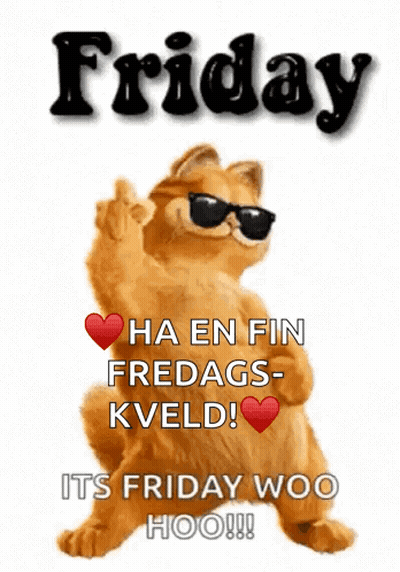 Cartoon Cat Wearing Sunglasses Says Friday GIF
