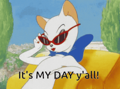 Cartoon Cat Wearing Sunglasses Says Its My Day Y All GIF