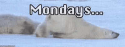 Cartoon Cat What It's Monday I Love You GIF