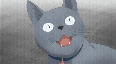 Cartoon Cat With Bell Around Neck GIF