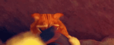 Cartoon Cat With Big Eyes On Person's Lap GIF