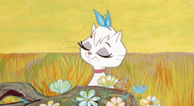 Cartoon Cat With Butterfly On Head GIF