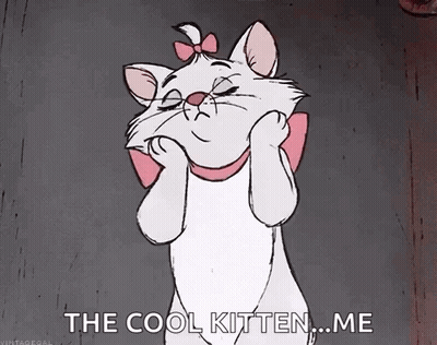 Cartoon Cat With Pink Bow Saying Cool Kitten ... Me GIF