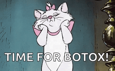 Cartoon Cat With Pink Bow Saying Time For Botox GIF