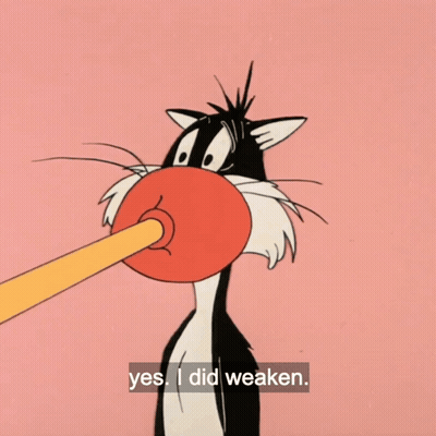 Cartoon Cat With Plunger Saying Yes I Did Weaken GIF