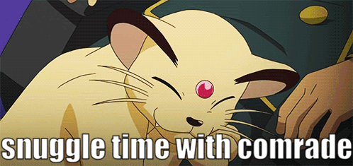 Cartoon Cat With Snuggle Time With Comrade GIF